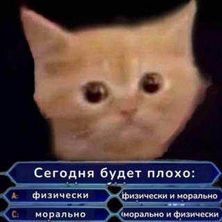 Telegram profile photo for ЩП Пурпура