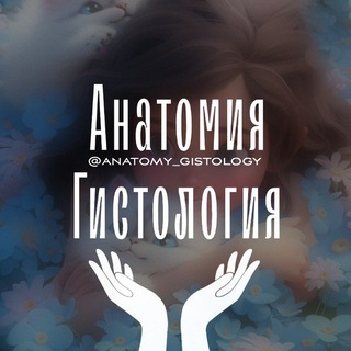 Telegram group profile photo for Чат студентов-медиков