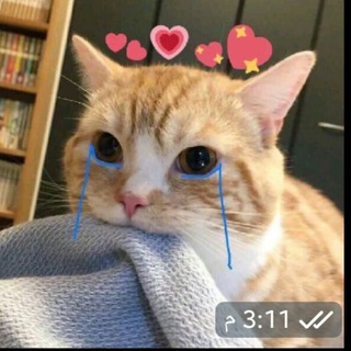 Telegram profile photo for تفاههہ😹💘