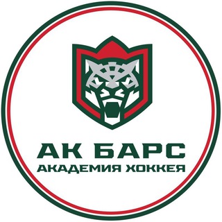 Telegram profile photo for Академия хоккея «Ак Барс»