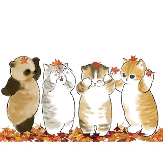 Telegram profile photo for 猫粮投喂