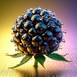 Telegram profile photo for 🫐 aiblackberry