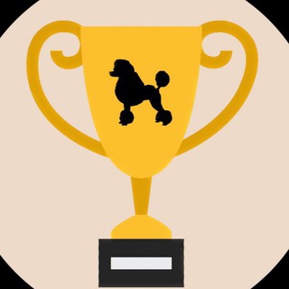 Telegram group profile photo for Пудель 🏆 Poodle Show Club 🏆