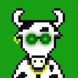 Telegram profile photo for Moo Mooners