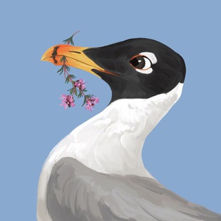 Telegram profile photo for Степной Альбом