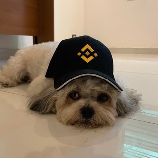 Telegram profile photo for $MAUI | PORTAL
