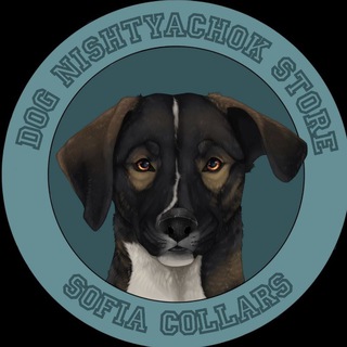 Telegram profile photo for Sofia Collars | Амуниция для собак✨