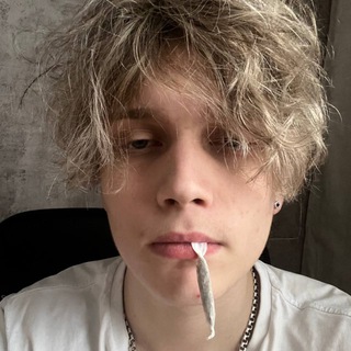 Telegram profile photo for Moscow Times ⛄️