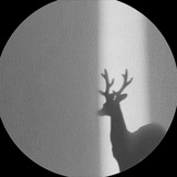 Telegram profile photo for 𝚂𝑀