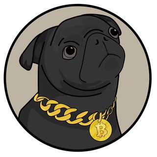 Telegram profile photo for PugBitcoinDog | Official