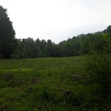 Telegram profile photo for کانال رسمی روستای بیجارکی- گیلان.رودبار