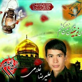 Telegram profile photo for شهیدمدافع علیرضاغلامی
