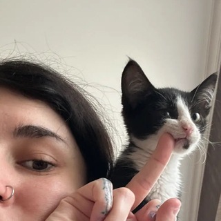 Telegram profile photo for равадаска