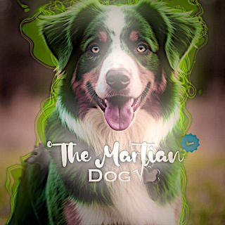 Telegram profile photo for °The Martian Dog√off.