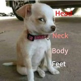 Telegram profile photo for Ne ne nebula?