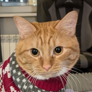 Telegram profile photo for Чихареки