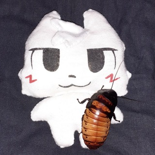 Telegram profile photo for Velzivoo1_Risuet