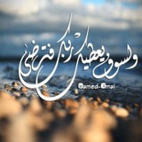Telegram profile photo for ولسوف يعطيك ربك فترضي