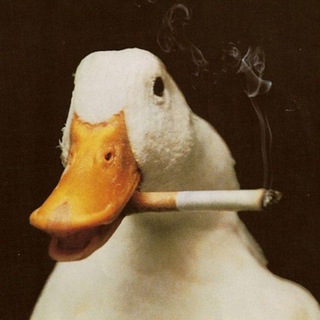 Telegram profile photo for Последний гусь
