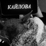 Telegram profile photo for связки кайловой 🩶