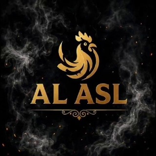 Telegram profile photo for Asl jo'jalari // Асл жужалаар 903231545 998000837