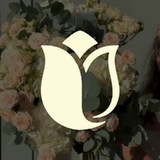 Telegram profile photo for Kamila's - доставка цветов по Ташкенту