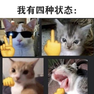 Telegram profile photo for 骸姆达的杂物间🙃