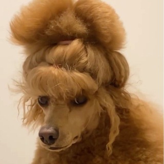 Telegram profile photo for Помпадурша.