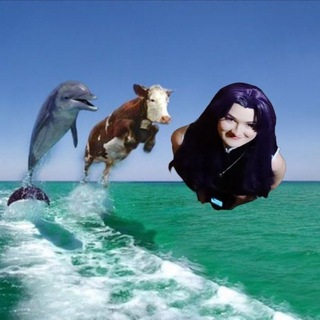 Telegram profile photo for Kaori под кондициями🦐