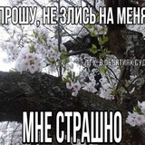 Telegram profile photo for Дэйзи уже в Твиксе... 🫢