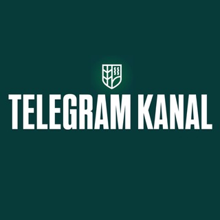 Telegram profile photo for Bayankhanov (Kanal)