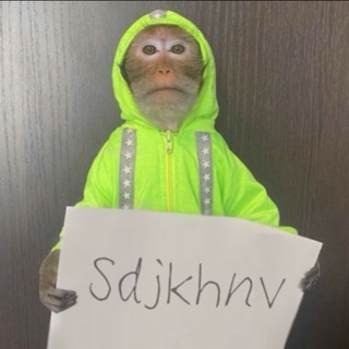 Telegram profile photo for sdjkhnv’s