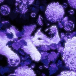 Telegram profile photo for Info channel Mary Berty