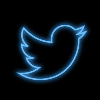 Telegram profile photo for Turtweet
