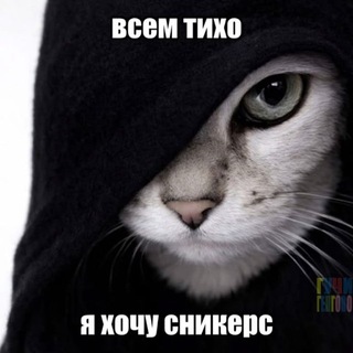 Telegram profile photo for SvitShop