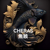 Telegram profile photo for KL 快餐堂食外卖