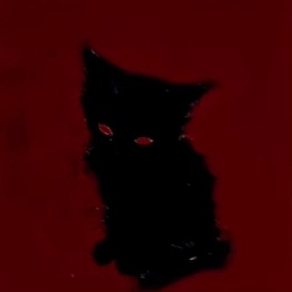 Telegram profile photo for noud