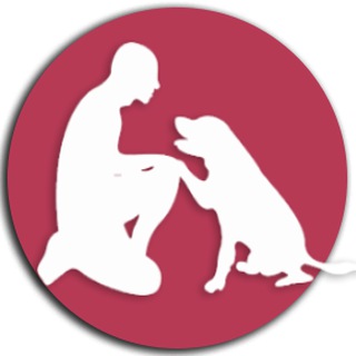 Telegram profile photo for 🐾AmDogTraining l Canale🐾