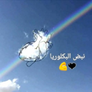 Telegram profile photo for نبض البكلوريا2019💙