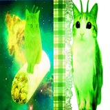 Telegram profile photo for 💚-母親// Бред школьника-✳️