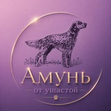 Telegram profile photo for Амунь от ушастой