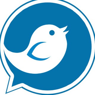 Telegram profile photo for BirdieVPN 頻道