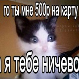 Telegram profile photo for Элька на мине