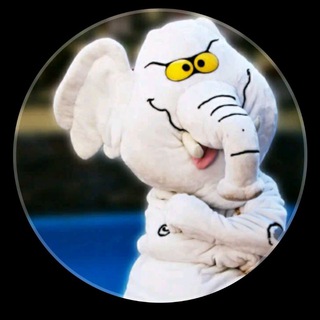 Telegram profile photo for Elefantes Col