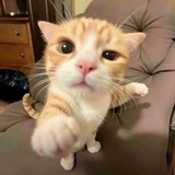Telegram profile photo for 117公益无广更新频道