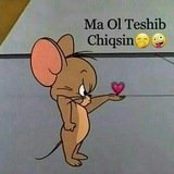 Telegram profile photo for Senga oshiqman