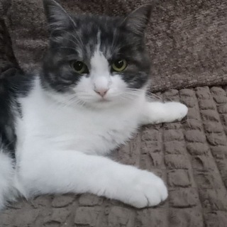Telegram profile photo for Канск типо