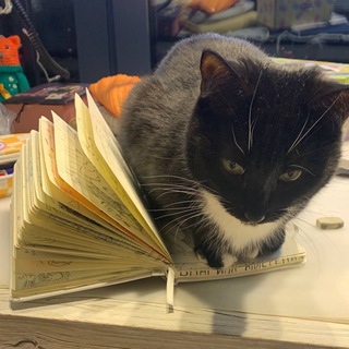 Telegram profile photo for Аксель