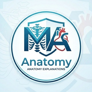 Telegram profile photo for Anatomy with MA 🤍🩺