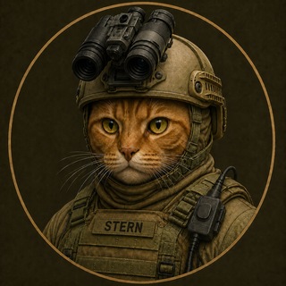Telegram profile photo for Stern Advice